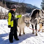 Alte Post 4* 湖畔的费尔德